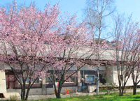 北見市立図書館外観